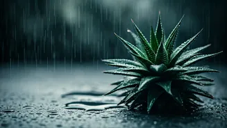 Why Rainy Weather Is Tougher On Your Skin