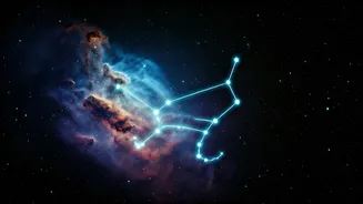 Scorpio's Daily Dose: December 11, 2025