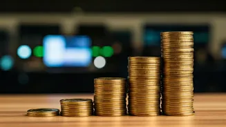 Decoding Top-Performing Indian Mutual Funds for Savvy Investors