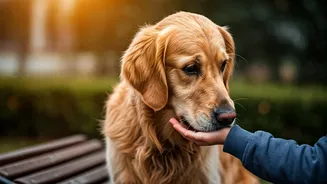 Heartwarming Tales: Animals Offering Unconditional Love and Support