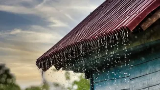 Monsoon Travel Opens New Perspectives On Assam's Scenic Beauty