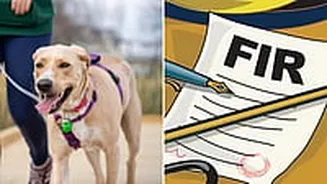 Maharashtra Tops First-Ever NCRB Animal Cruelty List With 2,927 Cases As National Data Breaks 34-Year Silence