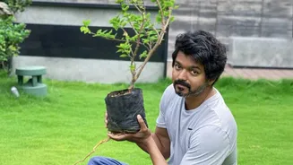 September Gardening In India: What The Latest Update Changes
