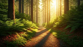 Join A Weekend Trail Hiking Group To Escape The Gym