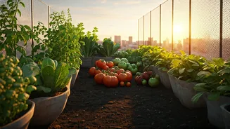 Urban Gardening Guides Free Online Courses See Record High Signups