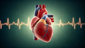 Zone 2 Cardio: Unlock Longevity and Enhanced Health with This Sustainable Workout