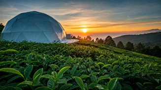 Watch The Sunrise From Munnar Private Tea Garden Glamping Domes