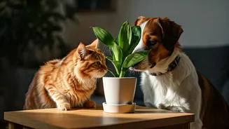 Urban Pet Homes Are Reading Toxic Plant Lists
