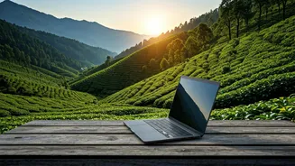 Sikkim Cardamom Hills See Long Term Nomad Bookings