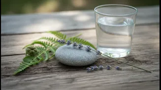 The Goal Is To Notice Patterns, Not Win At Wellness