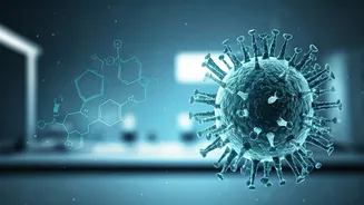 Qdenga Vaccine in India: A Hopeful Step Against Dengue, But Not a Final Solution