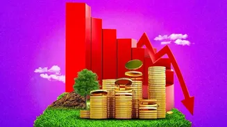 What Escalating Wholesale Price Indices Mean For Everyday Essentials Shopping Decisions