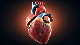 10 Life-Extending Tips: Insights from a NYC Cardiologist