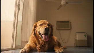 Humid Indian Homes: The Utility Angle behind Indoor Pet Overheating in Humid Homes