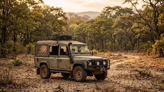 How Environmental Regulations Influence Safari Rules Across India's Tiger Reserves In November