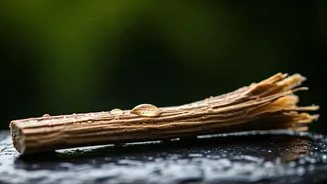 Unlock a Healthier Smile: The Ancient Power of African Chewing Sticks