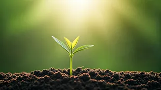 Sadhguru's Wisdom: 10 Principles for Nurturing Happy, Confident Children