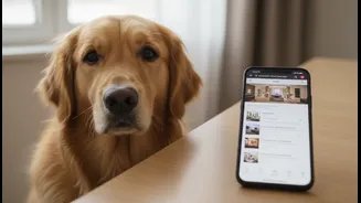 Pet-Friendly Booking Filters Cannot Replace A Direct Call To The Property