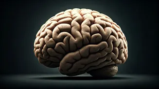 Losing 2 Hours Of Sleep Harms Your Health