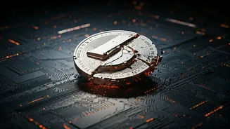 Crypto Scams: How They Thrive & What to Know