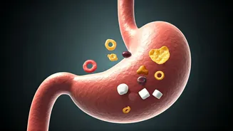 6 Gut-Wrecking Foods: Hidden Culprits Revealed!