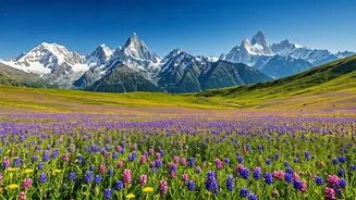 Trek Valley of Flowers Now Before Peak Bloom Ends
