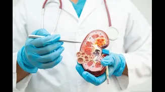 World Kidney Day: Expert Shares Important Things To Remember For Healthy Kidneys