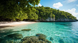 Tobacco Bay Beach: Bermuda's Caribbean Gem Just 2 Hours from the US