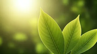 5 Habits for Happiness: Simple Daily Practices