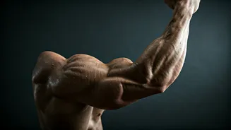 Bhumi Pednekar's 'Jelly Arms' Workout: Unleash Your Arm Strength with This Intense Routine