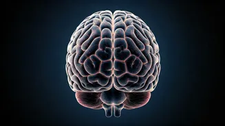 Unlock Your Emotional Superpower: 10 Habits for Enhanced Emotional Intelligence