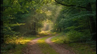 Slow Travel Makes Room For Spontaneity Without Constant Replanning
