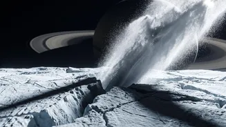 Enceladus Could Preserve Biosignatures In Ice Grains, With Still Offers Evidence Of Habitability, Not Proof Of Life In Focus