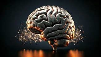 Is Your Brain Feeling Sluggish? 6 Key Signs of a 'Rusty Brain' and How to Revitalize It