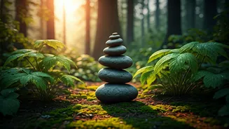 Emotional Wellness: Your 2026 Guide to Reset