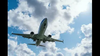 Bengaluru Woman’s Flight Rant: Told Noisy Kids To Quiet Down, Mom Hits Back ‘Not Library!’ — Etiquette Battles Erupt