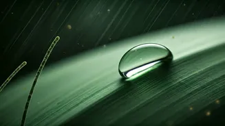 The Science Behind Monsoon Skin Troubles Explained
