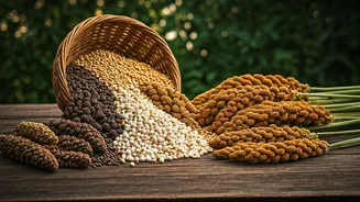 Millets Have Entered Fibre Planning