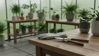 How Gardeners Can Use Plant Type for August Plant Pruning after the August Pruning Window
