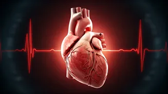 Related Stories banner