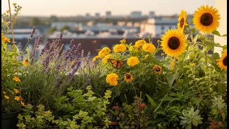 Urban Gardeners Are Designing Balconies For Bees, Butterflies And Hoverflies