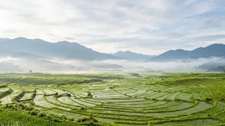 Experience Ziro Valley's Music Culture On A Remote Workation Escape In Arunachal Pradesh