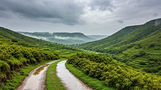 Rain-Light Travel Has A Rajasthan Address Now