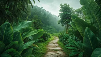 Fresh Rain Has Entered Travel Planning