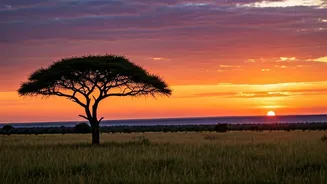 Crafting Your Dream African Safari: A Guide
