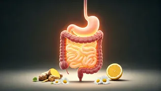 Mastering Acid Reflux: Doctor-Backed Natural Remedies for Daily Relief