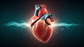 Boost Heart Health: Simple Daily Habits for Better Blood Pressure and Reduced Risk