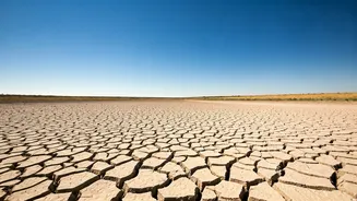 Water Stress Is Not Just Policy Talk