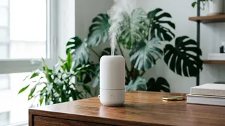 Why Increasing Workspace Humidity Prevents Dry Eye Symptoms Caused By Continuous Digital Screen Exposure Today
