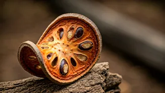 Discover Baobab: Africa's Amazing Superfruit Packed with Health Benefits